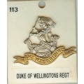 cb 113 duke of wellingtons regiment