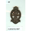 CB 419 - Princess of Wales Royal Regiment