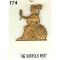 CB 174 - Royal Norfolk Regiment CB 174 - Royal Norfolk Regiment