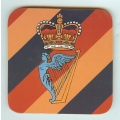 co 020 4th royal irish dragoon guards