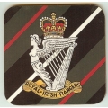 co 117 royal irish rangers