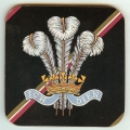 co 133 royal regiment of wales