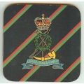 co 176 royal pioneer corps