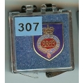 307 Grenadier Guards 307 Grenadier Guards