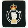 bs 015 royal armoured corps