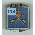 134 royal army physical training corps