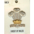CB 183 - Royal Regiment of Wales