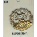CB 141 - Hampshire Regiment CB 141 - Hampshire Regiment