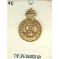 CB 040 Life Guards GV1