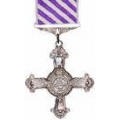 distinguished flying cross