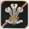 co 133 royal regiment of wales co 133 royal regiment of wales