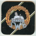 CO 134 - South Wales Borderers