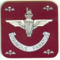CO 159 - Parachute Regiment