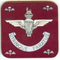 co 159 parachute regiment co 159 parachute regiment