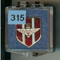 315 parachute regiment
