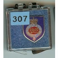 307 Grenadier Guards