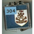 304. Duke of Wellingtons Regiment 304. Duke of Wellingtons Regiment