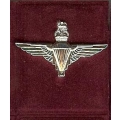 213. Paracute Regt.Silver 213. Paracute Regt.Silver