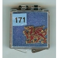 171. Royal Welsh Fusiliers - Standing Dragon 171. Royal Welsh Fusiliers - Standing Dragon