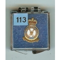 113. R.A.F. Regiment 113. R.A.F. Regiment