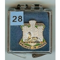 028. Devon & Dorset Regiment