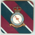 115 - Queens Colour Squadron 115 - Queens Colour Squadron