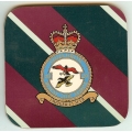 045 - 29 Squadron 045 - 29 Squadron