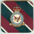 038 - 20 Squadron 038 - 20 Squadron