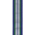 UNOMIG Medal Ribbon