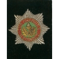 bw 015 cheshire regt blazer badge