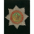 BW 015 Cheshire Regt Blazer Badge