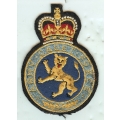 BS 004 Army Cadet Force Cutout BS 004 Army Cadet Force Cutout