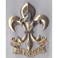 CB 381 - Kings Regiment CB 381 - Kings Regiment