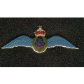 SH 502 RAF Wings Blue on Gilt GV1 SH 502 RAF Wings Blue on Gilt GV1